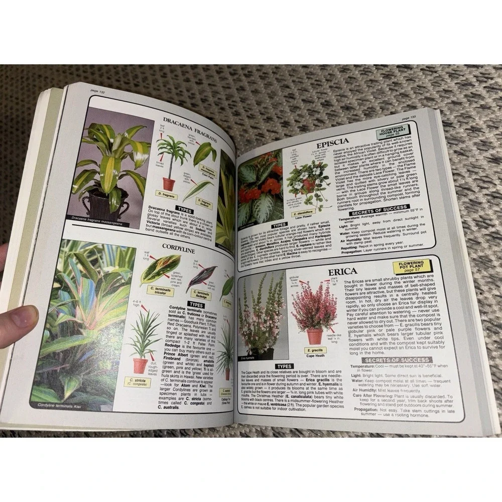 The House Plant Expert Dr. D. G. Hessayon 2002 Version Non Fiction Book Botany